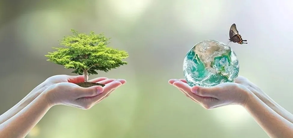 Una nueva forma de vivir - Albert Cruells