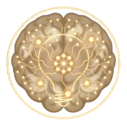 cerebro y mente trans